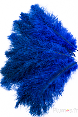 Blu - Piume Piume - Plumes.fr