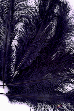 Blu notte - Piume Piume - Plumes.fr